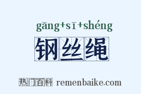 钢丝绳是什么意思的图片